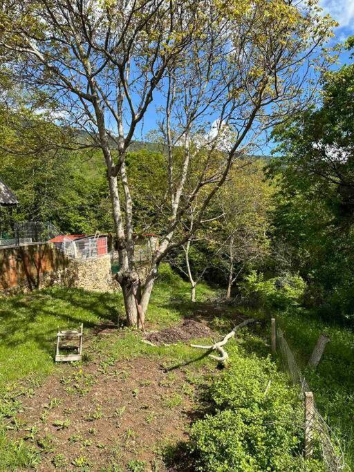 Cosy Mountain Villa In Nizepole Bituli Exterior foto
