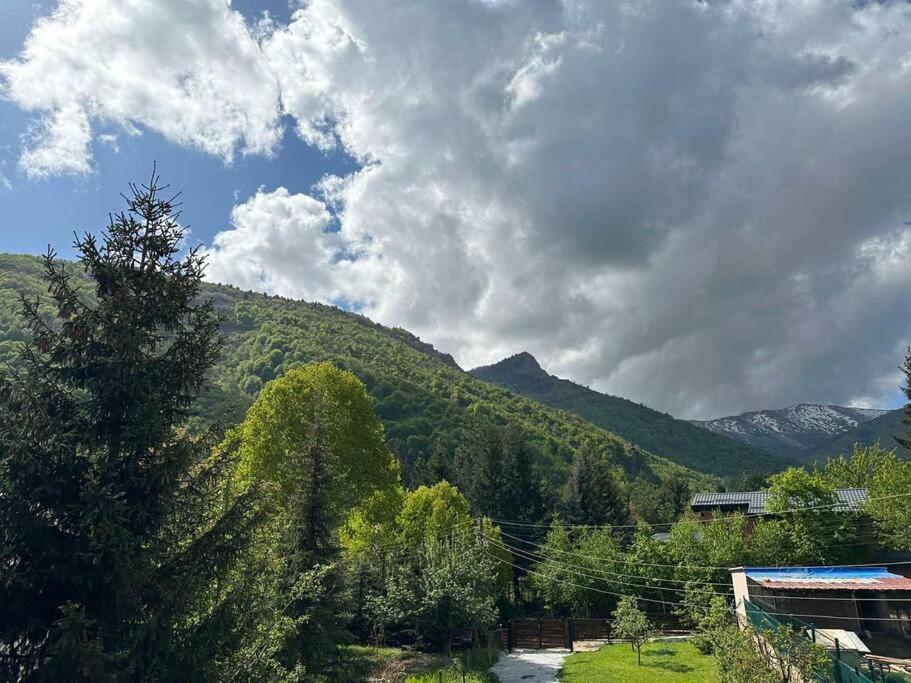 Cosy Mountain Villa In Nizepole Bituli Exterior foto